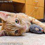 Haven White Profile Picture