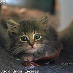 Mona Murray Profile Picture