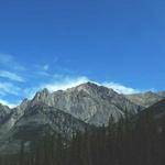 Camille Baumbach Profile Picture