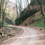 Lonzo Dooley Profile Picture