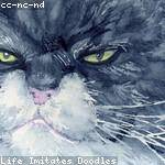 Willis Bradtke Profile Picture