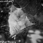 Marge Hammes Profile Picture