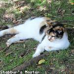 Briana Purdy Profile Picture