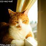 Clemmie Brown Profile Picture