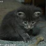 Shyann Schulist Profile Picture