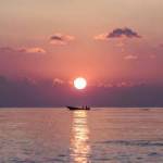 dawdsaf dawd profile picture